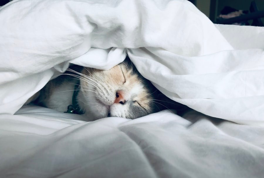 Sleep science